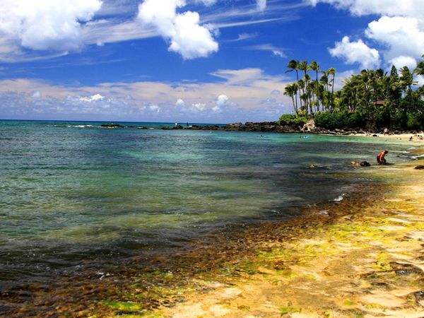 夏威夷最冷的时间?夏威夷8月份天气情况-图2 夏威夷最冷的时间?夏威夷8月份天气情况-图2