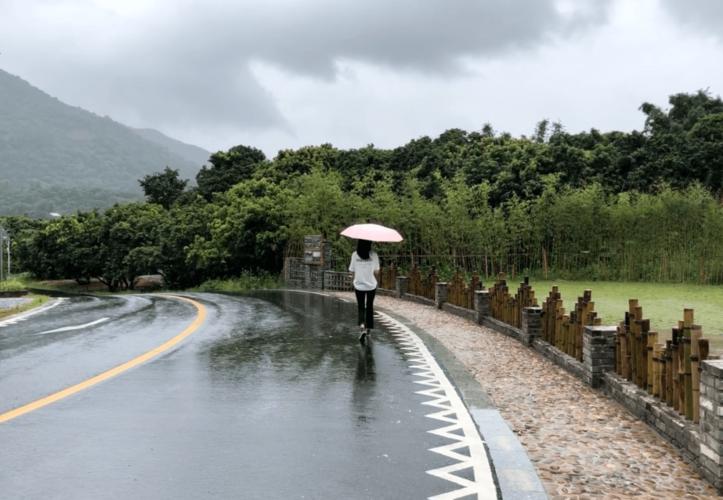 从化茶叶有哪些?从化现在天气情况-图2 从化茶叶有哪些?从化现在天气情况-图2