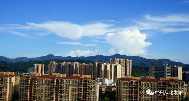 从化茶叶有哪些?从化现在天气情况-图3 从化茶叶有哪些?从化现在天气情况-图3