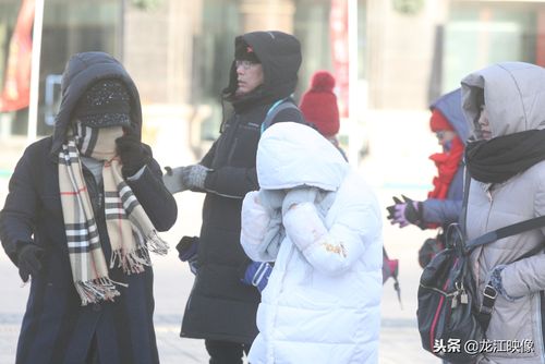 请教今年2月份过年的时候去杭州,穿什么衣服啊,北方人不知道受不受得了南方的天气啊?杭州2月份的天气情况-图1 请教今年2月份过年的时候去杭州,穿什么衣服啊,北方人不知道受不受得了南方的天气啊?杭州2月份的天气情况-图1
