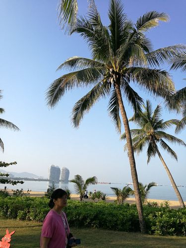 海南三亚12月中旬的天气怎么样,穿什么样的衣服?三亚十二月份天气情况-图1 海南三亚12月中旬的天气怎么样,穿什么样的衣服?三亚十二月份天气情况-图1