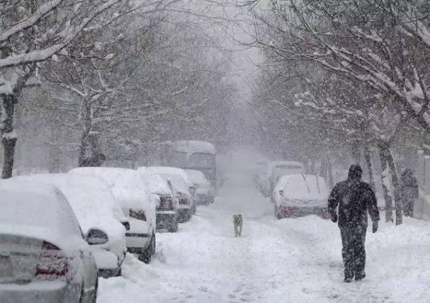 2022年山东冬天还会下雪吗?单县的天气情况-图2 2022年山东冬天还会下雪吗?单县的天气情况-图2