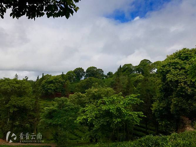 6月石林，普洱有多热，穿什么衣服？普洱天气情况
