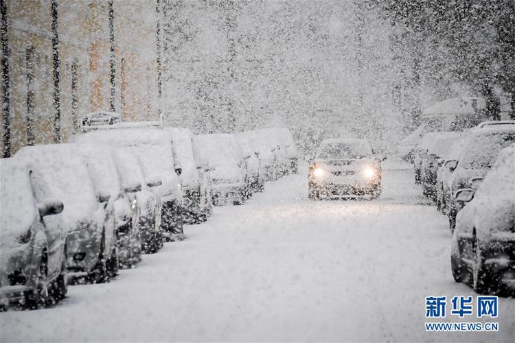 德国什么时候下雪?德国一月份天气情况-图3 德国什么时候下雪?德国一月份天气情况-图3