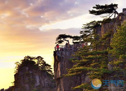 黄山的树叶几月份开始黄?黄山天气5月份天气情况-图2 黄山的树叶几月份开始黄?黄山天气5月份天气情况-图2