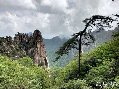黄山的树叶几月份开始黄？黄山天气5月份天气情况