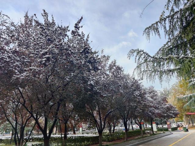 陕西今明有中到大雪吗?陕西这几天的天气情况-图2 陕西今明有中到大雪吗?陕西这几天的天气情况-图2