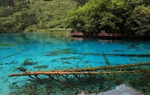 九寨沟天气5月份晚上穿什么衣服?5月九寨沟的天气情况-图2 九寨沟天气5月份晚上穿什么衣服?5月九寨沟的天气情况-图2