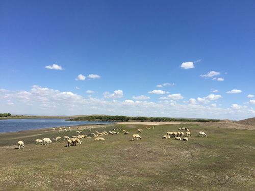 内蒙古7月底天气适合旅游吗？海拉尔七月份天气情况-图3