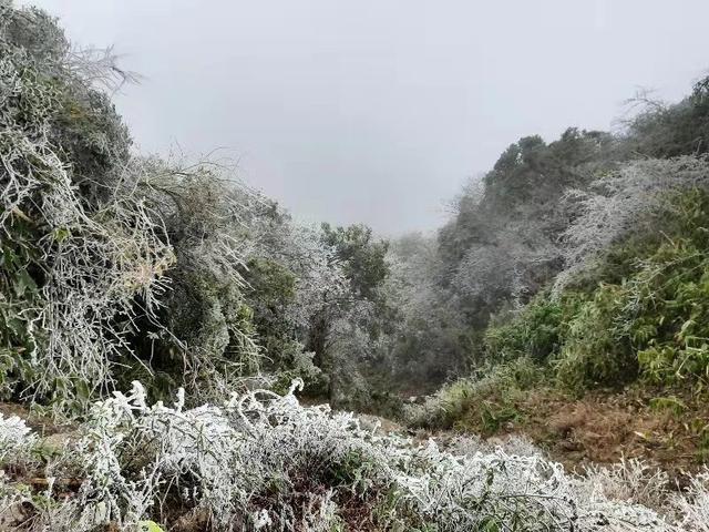 桂林城区下雪吗?桂林最近的天气情况-图2 桂林城区下雪吗?桂林最近的天气情况-图2