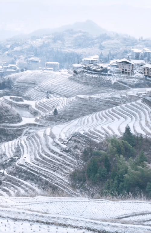 桂林城区下雪吗?桂林最近的天气情况-图3 桂林城区下雪吗?桂林最近的天气情况-图3