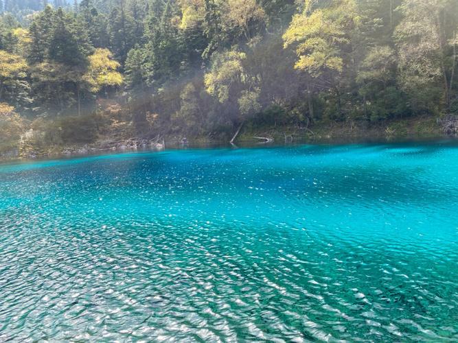 现在去九寨沟天气合适吗？九寨沟现在的天气情况