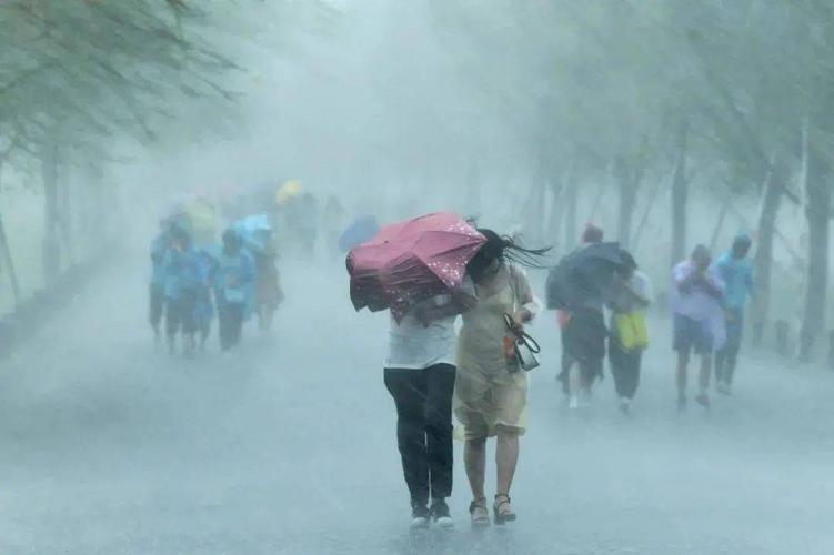 为什么沈阳的大风天这么多?沈阳今天天气情况-图3 为什么沈阳的大风天这么多?沈阳今天天气情况-图3