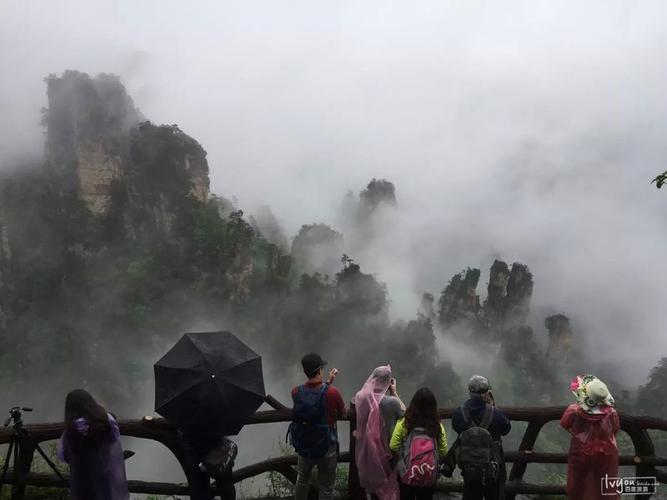 张家界五一下雨怎么办?五一张家界天气情况-图2 张家界五一下雨怎么办?五一张家界天气情况-图2
