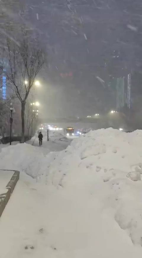 哈尔滨11月10号雪休吗?哈尔滨11号天气情况-图3 哈尔滨11月10号雪休吗?哈尔滨11号天气情况-图3