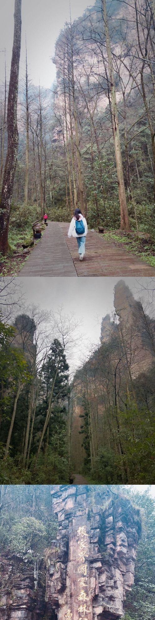张家界11月份天气穿什么衣服？9月份张家界天气情况-图3
