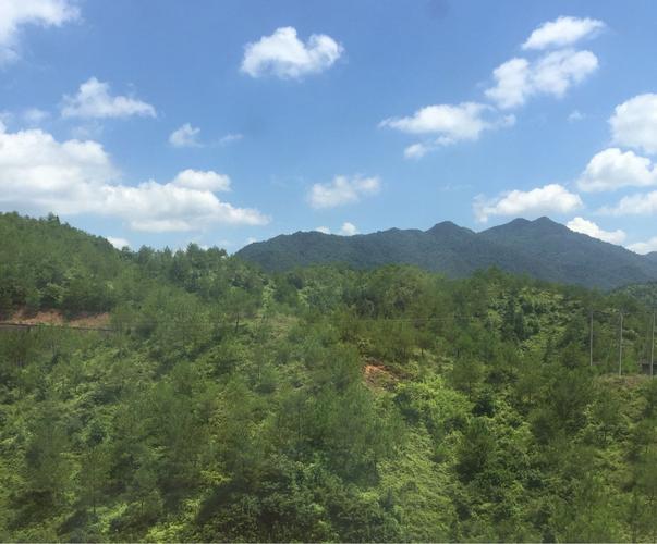 5月龙岩适合种什么菜?龙岩5月份天气情况-图1 5月龙岩适合种什么菜?龙岩5月份天气情况-图1