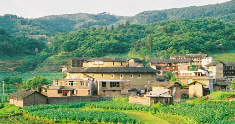 5月龙岩适合种什么菜?龙岩5月份天气情况-图3 5月龙岩适合种什么菜?龙岩5月份天气情况-图3
