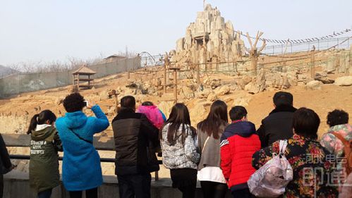 石家庄动物园7月份热吗?石家庄七月天气情况-图2 石家庄动物园7月份热吗?石家庄七月天气情况-图2