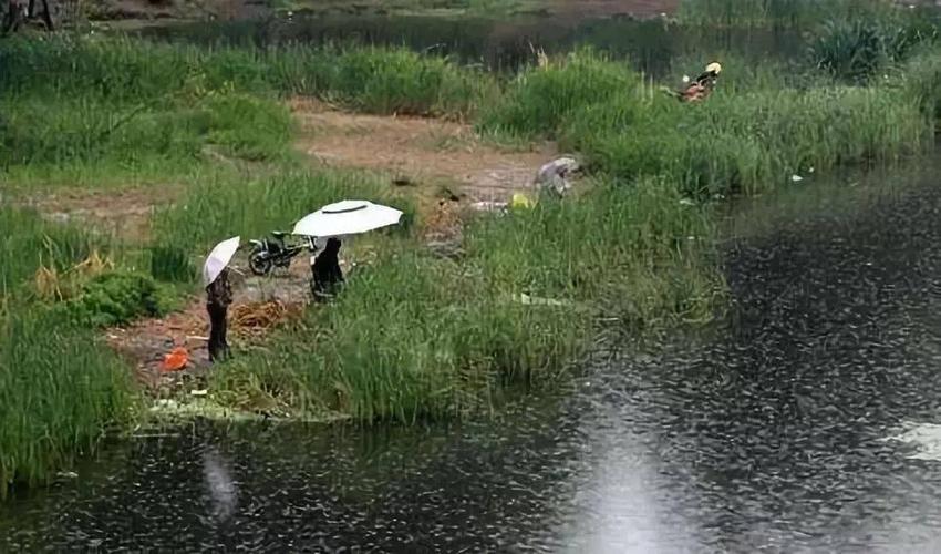 九月下雨前好钓鱼吗?下雨前的天气情况-图3 九月下雨前好钓鱼吗?下雨前的天气情况-图3