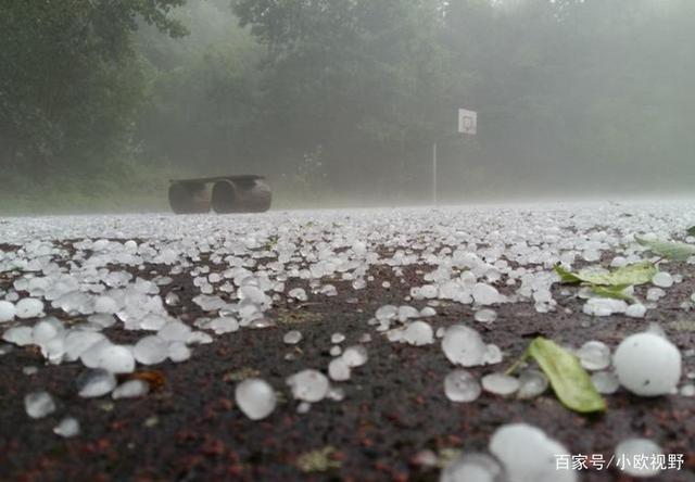 今天保定下冰雹了吗?明天保定天气情况-图2 今天保定下冰雹了吗?明天保定天气情况-图2