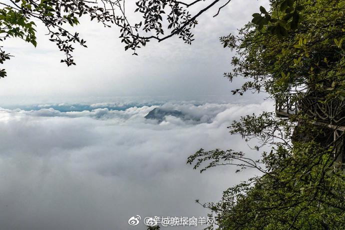 重庆金佛山天气？南川天气情况