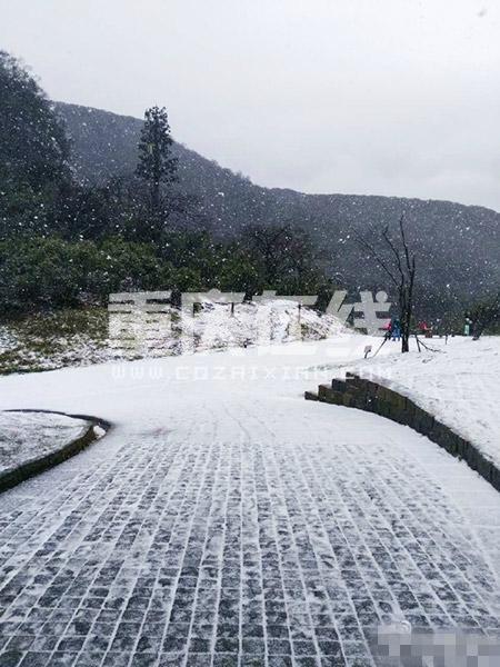 重庆金佛山天气?南川天气情况-图2 重庆金佛山天气?南川天气情况-图2