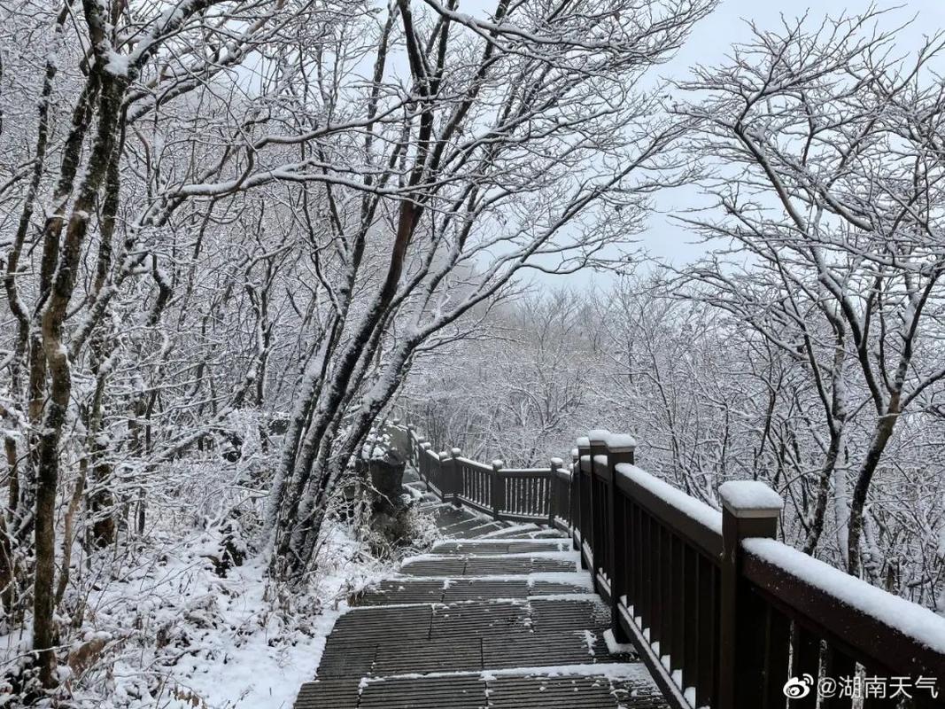 湖南岳阳2023年12月会下雪吗?国庆节岳阳天气情况-图3 湖南岳阳2023年12月会下雪吗?国庆节岳阳天气情况-图3