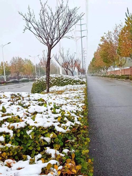 今年冬天廊坊还会下很大的雪吗?廊坊今天天气情况-图2 今年冬天廊坊还会下很大的雪吗?廊坊今天天气情况-图2