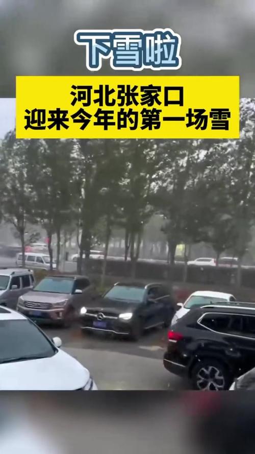 张家口雪大吗?张家口明天天气情况-图3 张家口雪大吗?张家口明天天气情况-图3