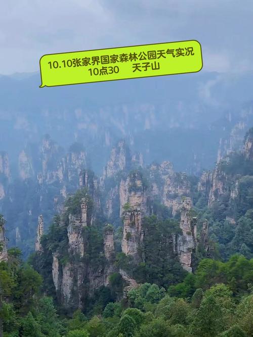 张家界8月旅游天气怎么样?张家界国庆节天气情况-图3 张家界8月旅游天气怎么样?张家界国庆节天气情况-图3