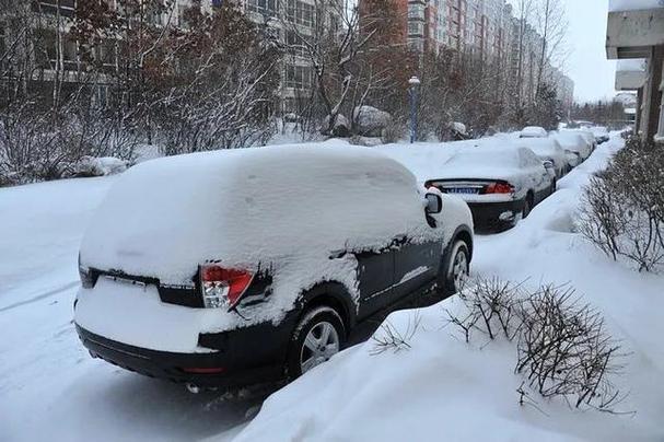 长春公主岭下雪了吗?德惠一个月的天气情况-图1 长春公主岭下雪了吗?德惠一个月的天气情况-图1