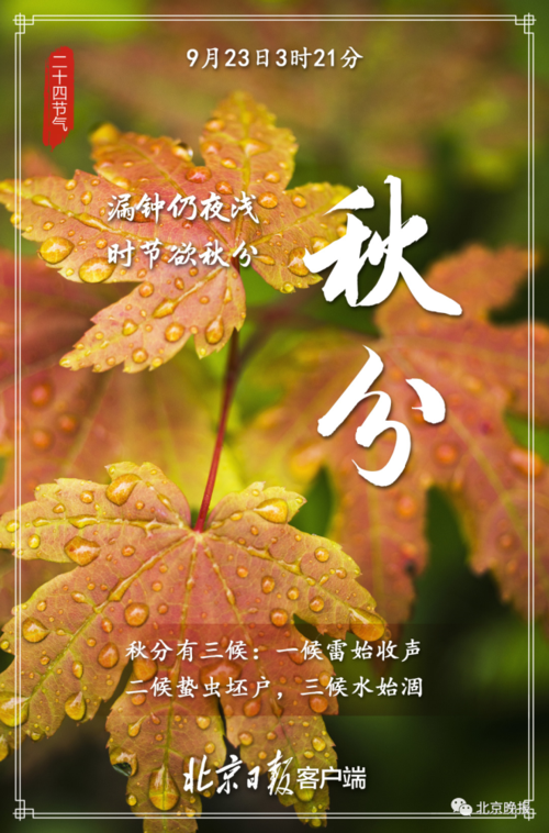秋分什么天气好?秋分天气情况-图1 秋分什么天气好?秋分天气情况-图1