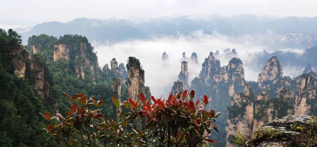 张家界最近天气适合旅游吗?张家界旅游景点天气情况-图2 张家界最近天气适合旅游吗?张家界旅游景点天气情况-图2