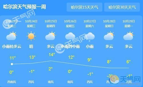 哈尔滨今天雪大吗?黑龙江哈尔滨今天天气情况-图3 哈尔滨今天雪大吗?黑龙江哈尔滨今天天气情况-图3