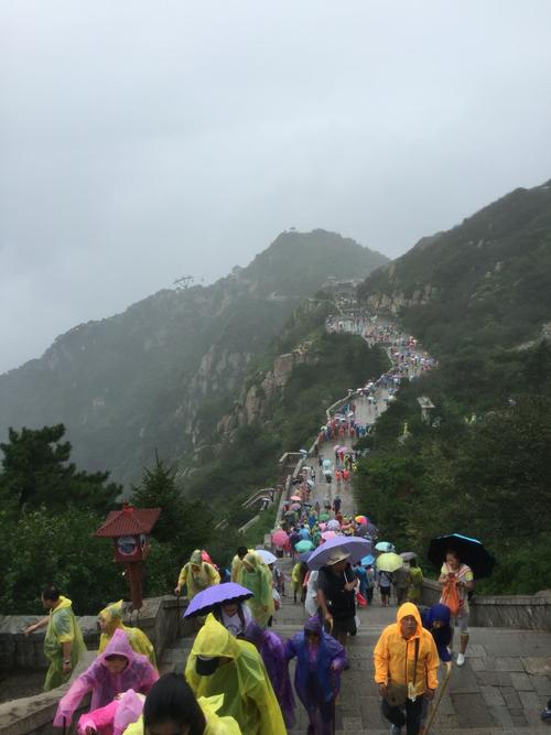 泰山七八月份山顶穿什么?8月泰安天气情况-图2 泰山七八月份山顶穿什么?8月泰安天气情况-图2