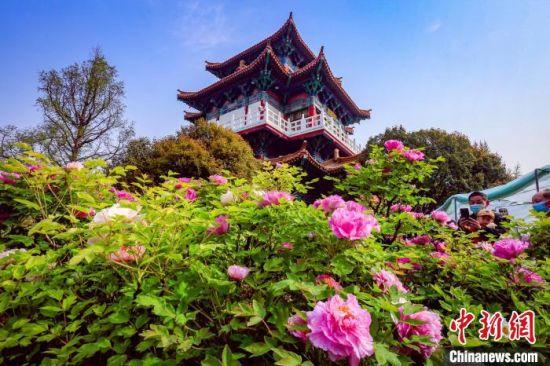 洛阳几月开始凉爽?9月洛阳天气情况-图3 洛阳几月开始凉爽?9月洛阳天气情况-图3