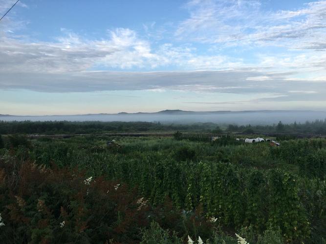 八月去伊春需要注意什么?8月伊春天气情况-图3 八月去伊春需要注意什么?8月伊春天气情况-图3