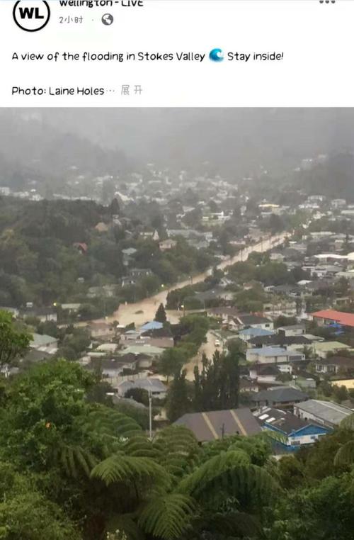 惠灵顿冬天温度?惠灵顿天气情况-图3 惠灵顿冬天温度?惠灵顿天气情况-图3