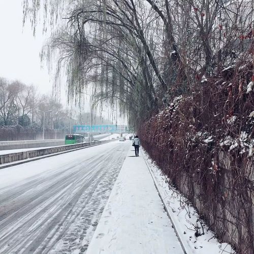 长治路上雪化了吗?长治一周天气情况-图2 长治路上雪化了吗?长治一周天气情况-图2