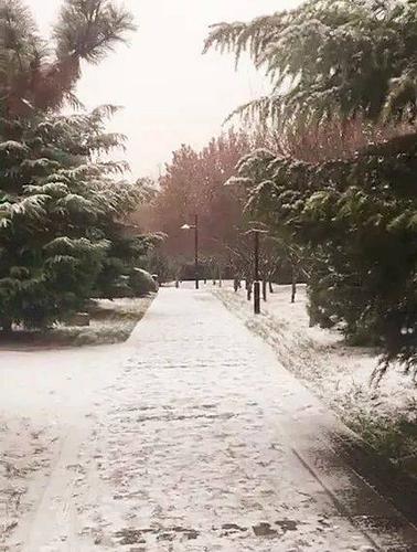 淄川下雪了吗？淄川天气情况