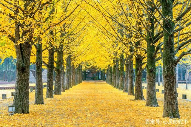 秋天的天气有什么?秋天的天气情况-图3 秋天的天气有什么?秋天的天气情况-图3