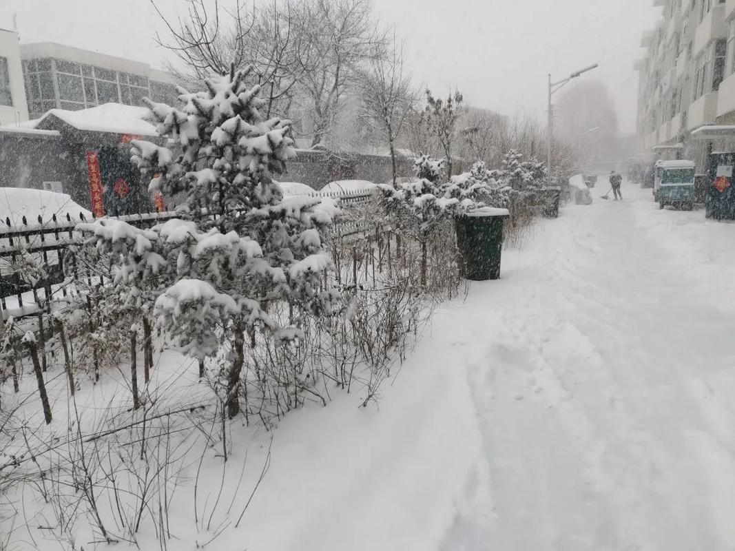 大同雪化了吗?今年大同的天气情况-图2 大同雪化了吗?今年大同的天气情况-图2