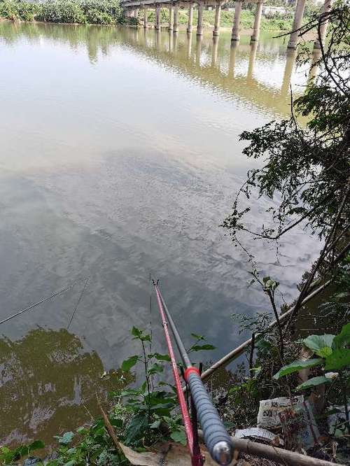 瑞安野钓最佳地点最近时间?瑞安明天的天气情况-图2 瑞安野钓最佳地点最近时间?瑞安明天的天气情况-图2