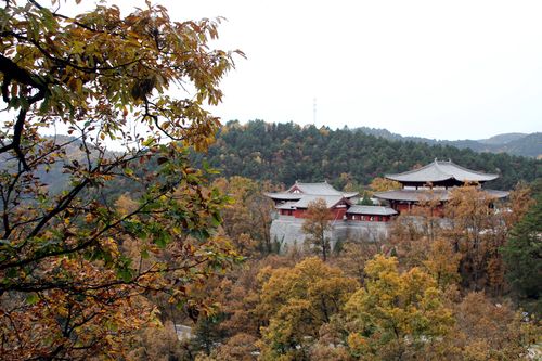 黄陵森林公园初一开门吗?黄陵森林公园天气情况-图3 黄陵森林公园初一开门吗?黄陵森林公园天气情况-图3