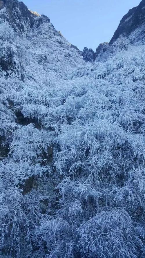 云南热带气候怎么还下雪?云南旅游景点天气情况-图3 云南热带气候怎么还下雪?云南旅游景点天气情况-图3