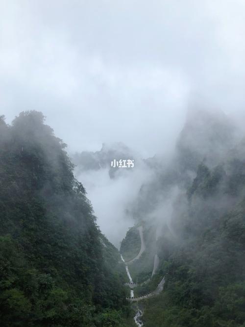 张家界今天下雨了吗?张家界26号天气情况-图2 张家界今天下雨了吗?张家界26号天气情况-图2