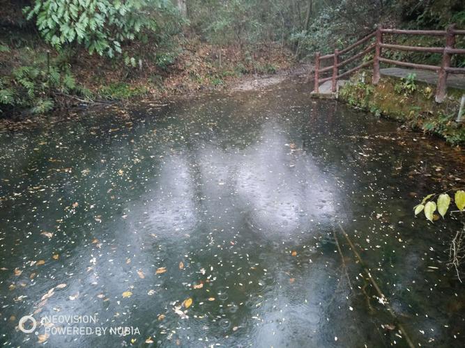 张家界今天下雨了吗?张家界26号天气情况-图3 张家界今天下雨了吗?张家界26号天气情况-图3