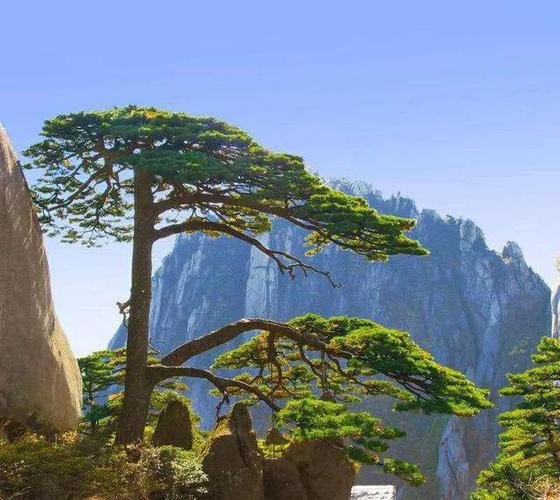 4月中旬去黄山好吗?黄山4月天气情况-图3 4月中旬去黄山好吗?黄山4月天气情况-图3