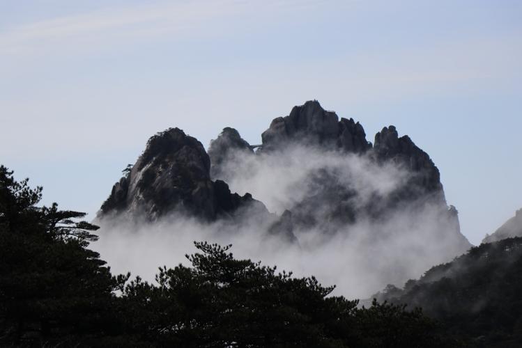 黄山的树叶几月份开始黄?黄山5月份天气情况-图3 黄山的树叶几月份开始黄?黄山5月份天气情况-图3